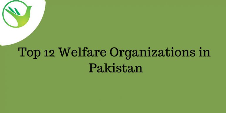 Top Welfare Organizations in Pakistan