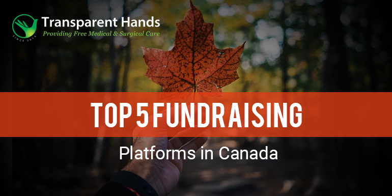 Top 5 Fundraising Platforms in Canada