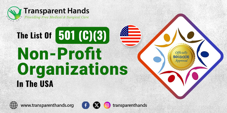 501(c)(3) nonprofit organizations in the USA